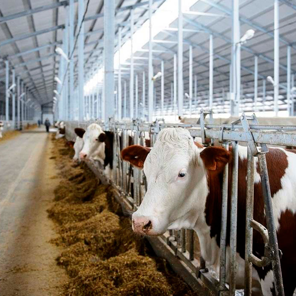 Ferme zootehnice
